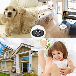 A pet dog in safe guarded by secured home automation systems at home, a child playing and camera at the centre