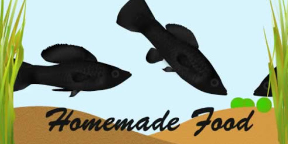 An Animated Image Of Two Black Fish Eating Fish Food - Homemade Fish Food Concept.
