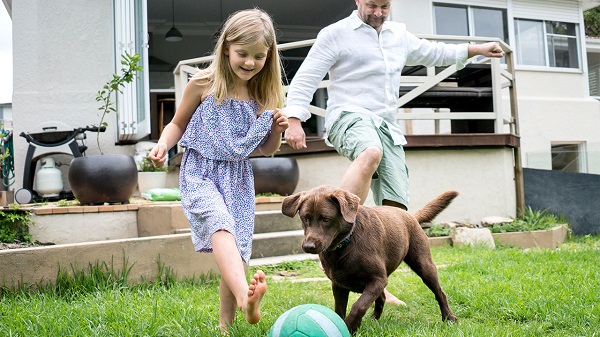 A light brown dog walking on a brown grass field.