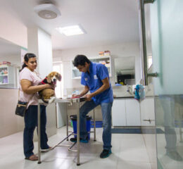 A man and a woman with a dog in her hand standing against each other, having a table in between them in a veterinary clinic.