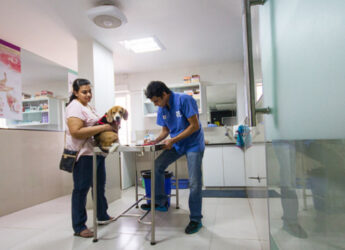 A man and a woman with a dog in her hand standing against each other, having a table in between them in a veterinary clinic.