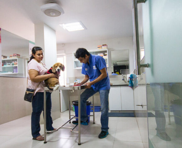 A man and a woman with a dog in her hand standing against each other, having a table in between them in a veterinary clinic.