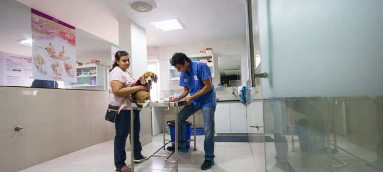 A man and a woman with a dog in her hand standing against each other, having a table in between them in a veterinary clinic.